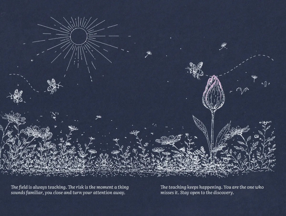 Plot spread: bees cross a field of flowers under the sun; one flower stands taller than the rest.