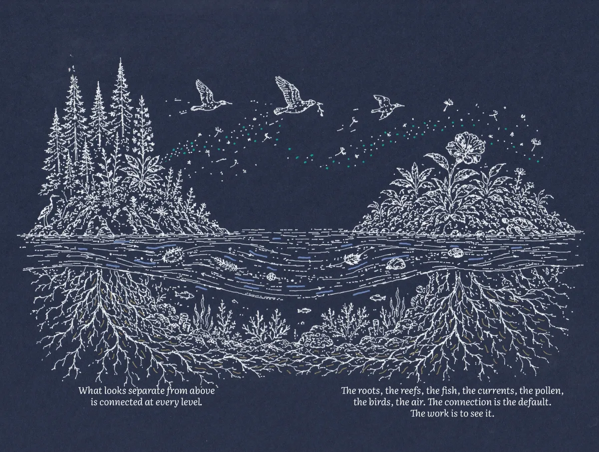 Plot spread: two islands above the waterline, joined below it by roots, reefs, fish, currents, pollen, and birds.